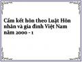 Cấm kết hôn theo Luật Hôn nhân và gia đình Việt Nam năm 2000 - 1