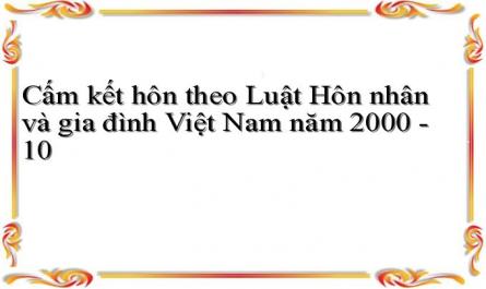 Cấm kết hôn theo Luật Hôn nhân và gia đình Việt Nam năm 2000 - 10