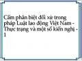 Cấm phân biệt đối xử trong pháp Luật lao động Việt Nam - Thực trạng và một số kiến nghị - 1