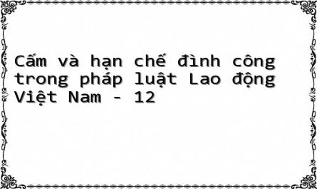 Cấm và hạn chế đình công trong pháp luật Lao động Việt Nam - 12