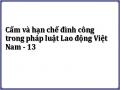 Cấm và hạn chế đình công trong pháp luật Lao động Việt Nam - 13