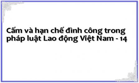 Cấm và hạn chế đình công trong pháp luật Lao động Việt Nam - 14
