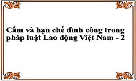 Cấm và hạn chế đình công trong pháp luật Lao động Việt Nam - 2