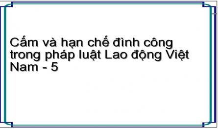 Cấm Đình Công Trong Pháp Luật Lao Động Việt Nam