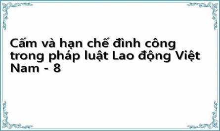 Cấm và hạn chế đình công trong pháp luật Lao động Việt Nam - 8