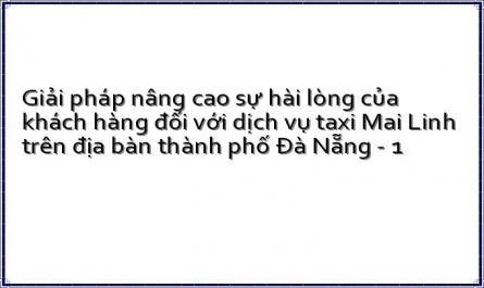 Giải pháp nâng cao sự hài lòng của khách hàng đối với dịch vụ taxi Mai Linh trên địa bàn thành phố Đà Nẵng - 1