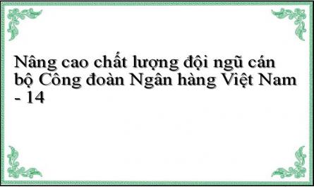 Nâng cao chất lượng đội ngũ cán bộ Công đoàn Ngân hàng Việt Nam - 14