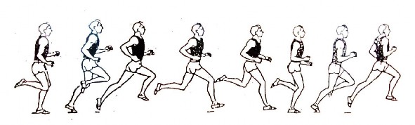 Hình 1 1 Kỹ thuật chạy cự ly dài Trong kỹ thuật chạy cự ly dài động tác 1