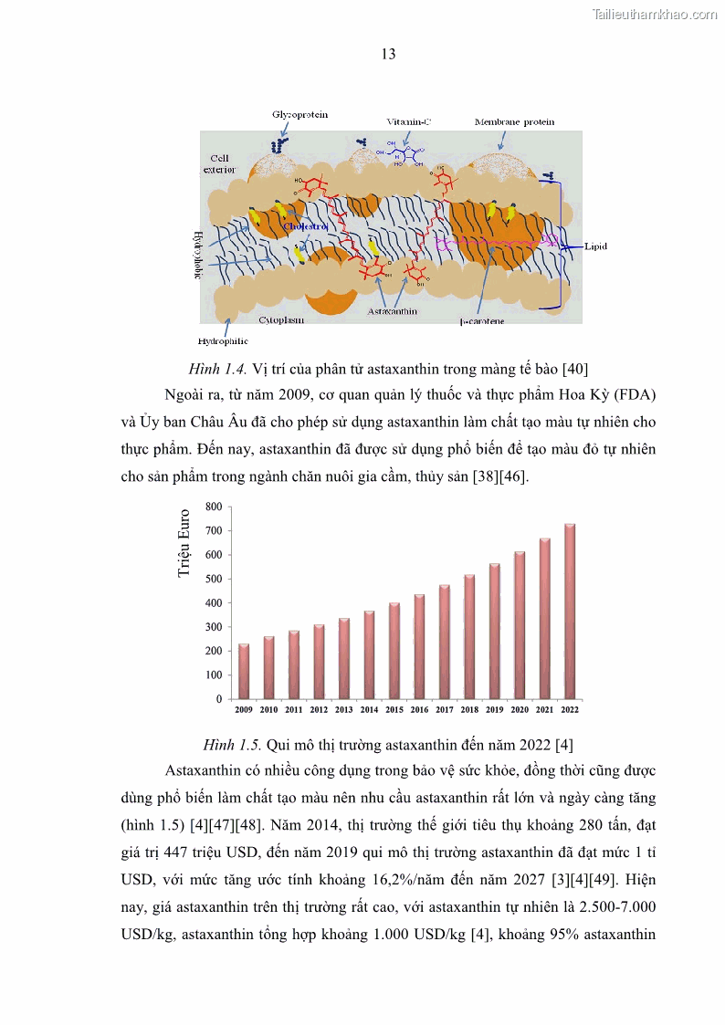 Luận án tiến sĩ công nghệ sinh học Nghiên cứu tạo cây đậu tương Glycine max L. biến đổi gen có khả năng tổng hợp astaxanthin chuyên biệt ở hạt - 4 Trang 25