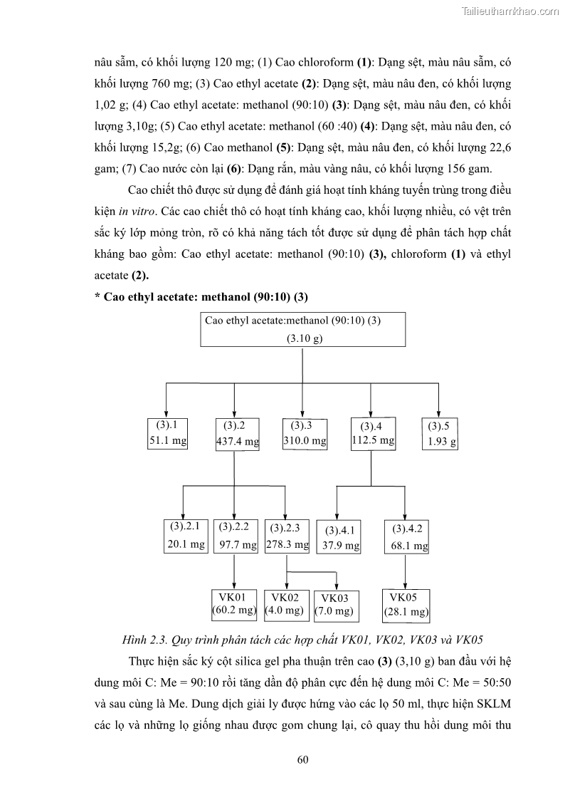 Luận án tiến sĩ công nghệ sinh học Tuyển chọn, nghiên cứu đặc tính kháng tác nhân gây bệnh và tạo chế phẩm phòng trừ bệnh rễ của các chủng vi khuẩn vùng rễ cây hồ tiêu Piper nigrum L. tại Tây Nguyên - 10 Trang 73