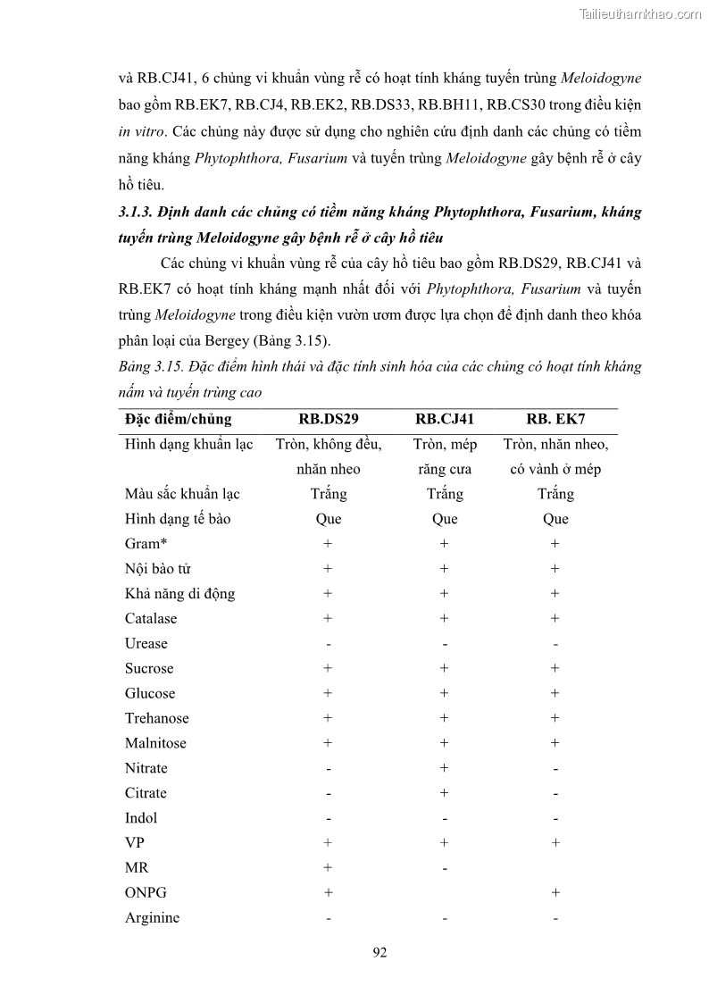 Luận án tiến sĩ công nghệ sinh học Tuyển chọn, nghiên cứu đặc tính kháng tác nhân gây bệnh và tạo chế phẩm phòng trừ bệnh rễ của các chủng vi khuẩn vùng rễ cây hồ tiêu Piper nigrum L. tại Tây Nguyên - 14 Trang 105