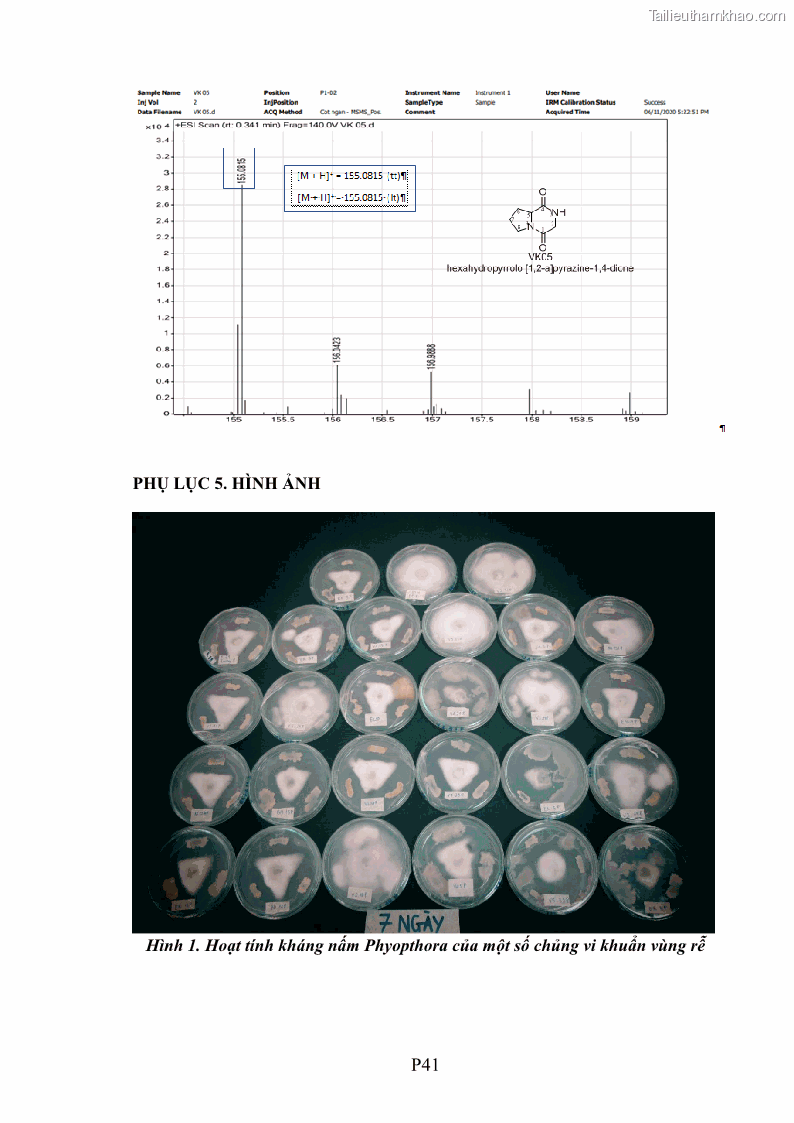 Luận án tiến sĩ công nghệ sinh học Tuyển chọn, nghiên cứu đặc tính kháng tác nhân gây bệnh và tạo chế phẩm phòng trừ bệnh rễ của các chủng vi khuẩn vùng rễ cây hồ tiêu Piper nigrum L. tại Tây Nguyên - 27 Trang 209