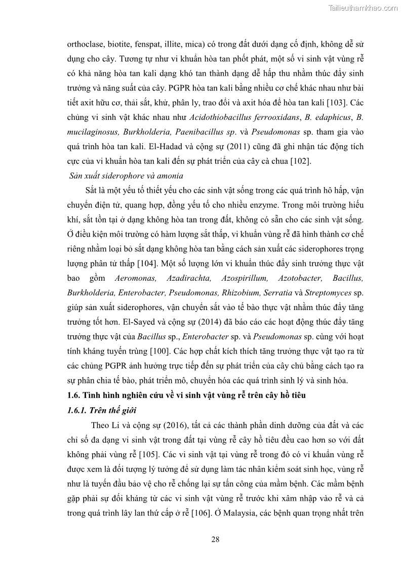 Luận án tiến sĩ công nghệ sinh học Tuyển chọn, nghiên cứu đặc tính kháng tác nhân gây bệnh và tạo chế phẩm phòng trừ bệnh rễ của các chủng vi khuẩn vùng rễ cây hồ tiêu Piper nigrum L. tại Tây Nguyên - 6 Trang 41