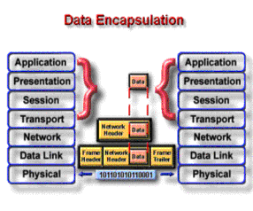 Hình 1 1 Xử lý dữ liệu qua các tầng Hình 1 2 Kiến trúc của một số hệ 1