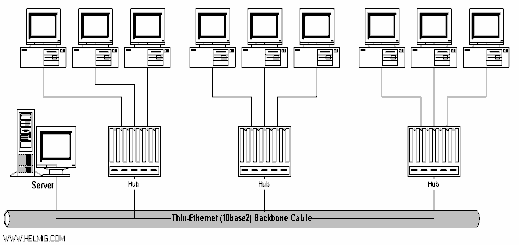 Hình 2 12 – Nối kết các HUB bằng cáp đồng trục gầy 2 6 3 4 3 Sơ đồ hỗn 8