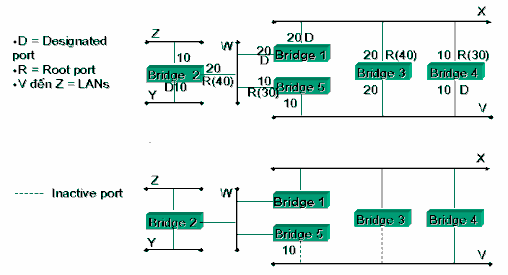 Hình 3 5 – Mạng xây dựng lại bằng giải thuật Spanning tree 3 2 2 Cầu nối xác 3