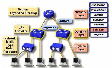 Hình 7 7 – Sử dụng Switch để mở rộng băng thông mạng Một ưu thế nữa đối 7
