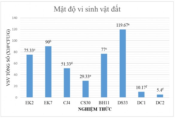 Hình 3 9 Ảnh hưởng của các chủng vi khuẩn đến mật độ VSV tổng số Nhìn 1