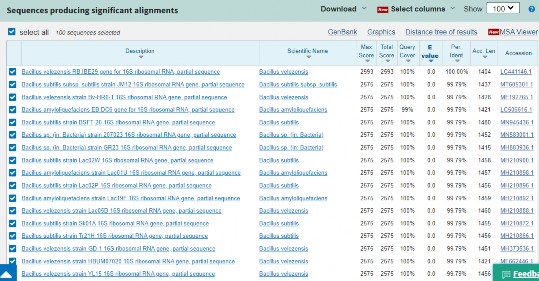 Hình 3 11 Kết quả so sánh mức độ tương đồng của chủng RB DS29 với các 2