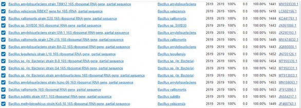 Hình 3 13 Kết quả so sánh mức độ tương đồng của chủng RB CJ41 với các 4