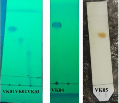 Hình 3 20 Sắc ký lớp mỏng các hợp chất phân tách 3 2 3 2 Đánh giá hoạt tính 3
