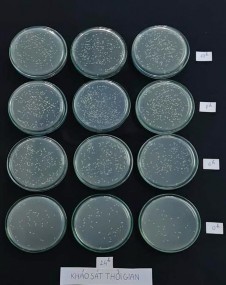 Hình 12 Ảnh hưởng của thời gian đến mật độ chủng RB EK7 Hình 13 Ảnh 18