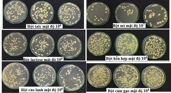 Hình 23 Mật độ vi khuẩn Bacillus velezensis ĐS29 trong chế phẩm với các chất 10