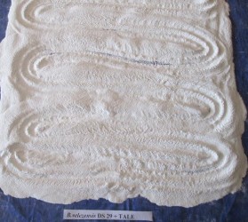 Hình 24 Các chất mang sau khi phối trộn với dịch vi khuẩn Hình 25 Mật độ vi 11