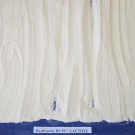 Hình 24 Các chất mang sau khi phối trộn với dịch vi khuẩn Hình 25 Mật độ vi 12