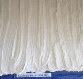 Hình 24 Các chất mang sau khi phối trộn với dịch vi khuẩn Hình 25 Mật độ vi 13