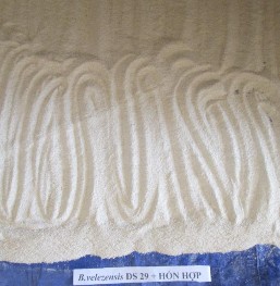 Hình 24 Các chất mang sau khi phối trộn với dịch vi khuẩn Hình 25 Mật độ vi 14