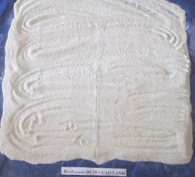 Hình 24 Các chất mang sau khi phối trộn với dịch vi khuẩn Hình 25 Mật độ vi 15