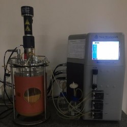 Hình 22 Hệ thống lên men vi khuẩn DS29 lúc 8g Hình 23 Mật độ vi khuẩn Bacillus 8