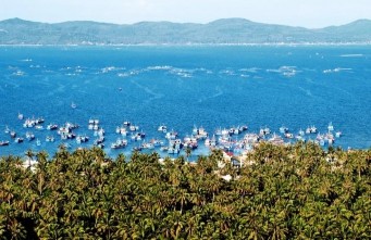 Hình 3 4 Rừng dừa ven Vịnh Xuân Đài Hình 3 5 Vũng Lắm ảnh Nguyễn Hữu 1