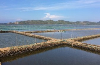 Loan trạng vấn đề môi trường tự nhiên ở đầm Ô Loan đã bị biến đổi theo 2