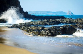 Bazan ở bãi Xép gành Ông Granit ở khu vực gành Đèn ảnh Nguyễn Hữu Xuân 1