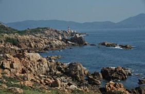 Bazan ở bãi Xép gành Ông Granit ở khu vực gành Đèn ảnh Nguyễn Hữu Xuân 2