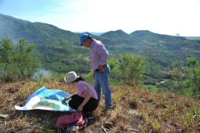 Khu vực đồi thấp huyện Tuy An Phỏng vấn khách du lịch ở Mũi Đại Lãnh 21