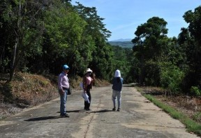 Đường vào khu vực rừng nguyên sinh ở Đường qua khu bảo tồn thiên nhiên di 22