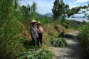 Phỏng vấn người dân ở huyện Sông Hinh Phỏng vấn người dân ở khu vực Bãi 30