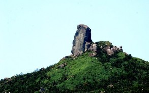 Nguồn 1 62 Hình 2 7 Hòn Yến ảnh Trần Bảo Hòa Hình 2 8 Cù lao Mái Nhà 4