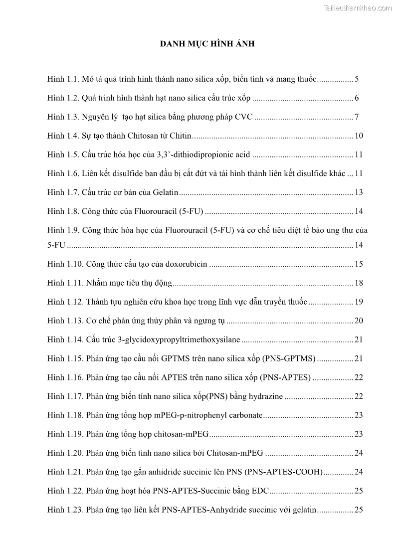 Luận án tiến sĩ khoa học vật liệu Nghiên cứu biến tính bề mặt nano silica làm chất mang thuốc chống ung thư - 2 Trang 9