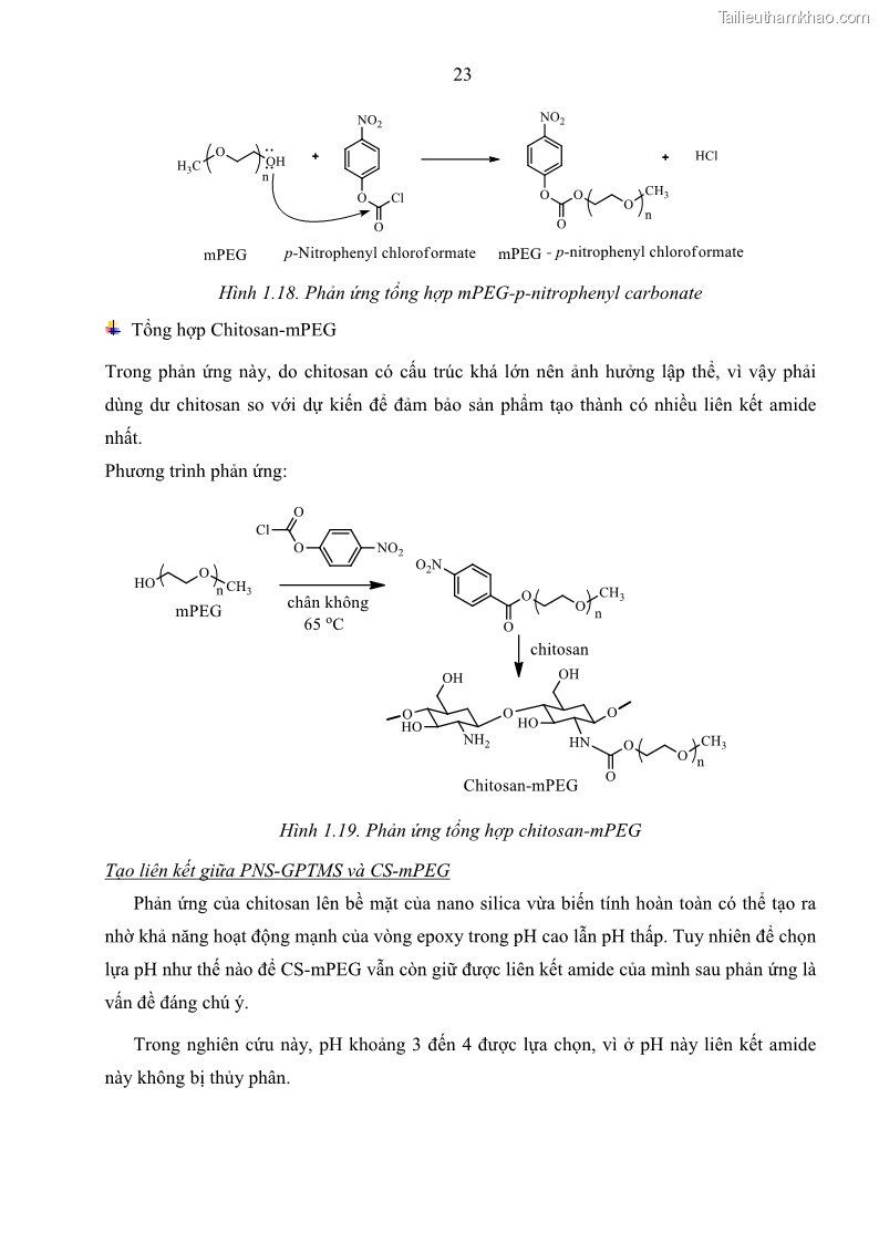 Luận án tiến sĩ khoa học vật liệu Nghiên cứu biến tính bề mặt nano silica làm chất mang thuốc chống ung thư - 6 Trang 41