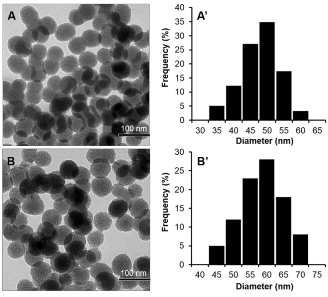 Hình 3 8 Ảnh TEM của PNS GPTMS A A’ và PNS GPTMS Hydrazine B B’ Phân tích kết 1