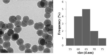 Hình 3 10 Ảnh TEM của PNS GPTMS –CS mPEG Phân tích kết quả phổ FTIR Quan sát phổ 3