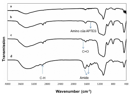 Hình 3 13 FTIR của a PNS b PNS APTES c PNS APTES COOH d PNS APTES COOH GE Kết 6