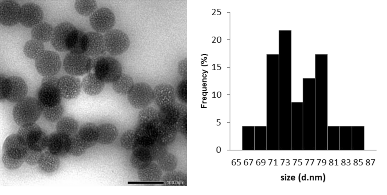 Hình 3 14 Ảnh TEM của vật liệu nano silicate sau khi biến tính bằng gelatin Qua 7