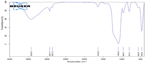 Phụ lục 3 Kết quả FTIR của CS mPEG Phụ lục 4 Kết quả FTIR của 1