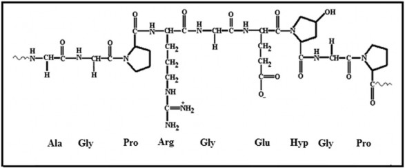 Hình 1 7 Cấu trúc cơ bản của Gelatin 1 4 Thuốc trị bệnh ung thư hóa trị Hóa 10
