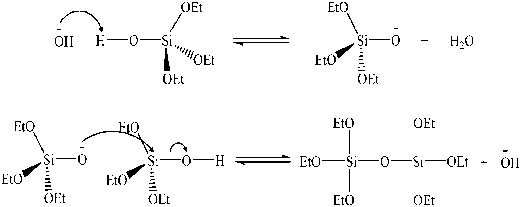 Hình 1 13 Cơ chế phản ứng thủy phân và ngưng tụ Trong phản ứng thủy phân 4